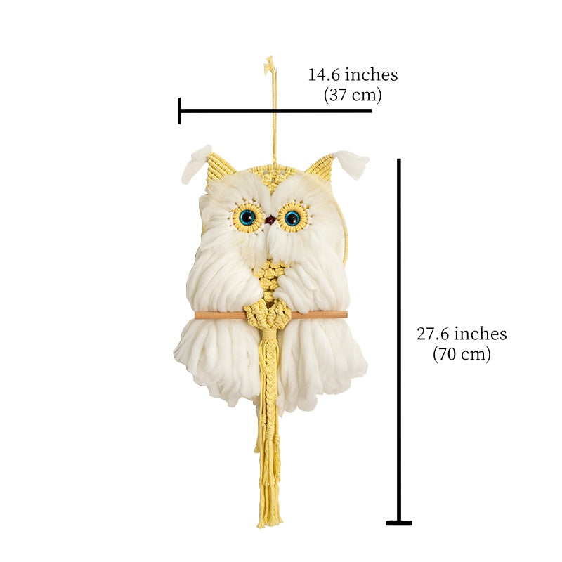 Macrame Owl Wall Hanging